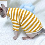 Striped Color T-shirt for Sphynx - Yellow Shirt