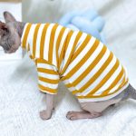 Striped Color T-shirt for Sphynx - Yellow Shirt