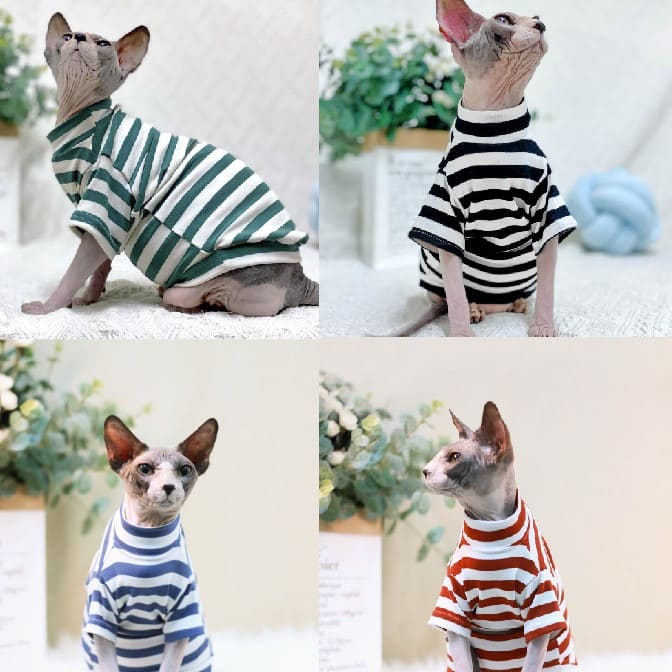 Striped Color T-shirt for Sphynx