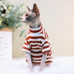 Cat Wearing Shirt-Rust red