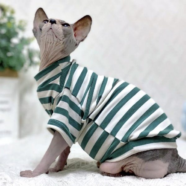 Striped Color T-shirt for Sphynx - Green