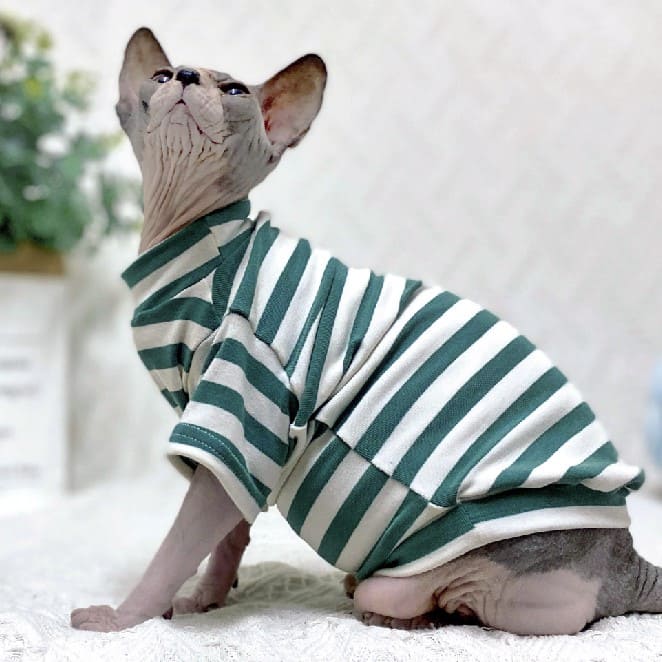 Sphynx Cat Fur Coat  Sphynx Fendi Coat, Fendi Coat for Cats