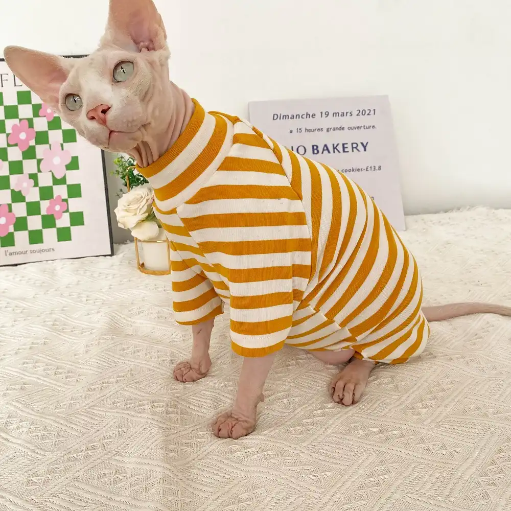 Sphynx Cat Fur Coat  Sphynx Fendi Coat, Fendi Coat for Cats