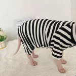 Striped Color T-shirt for Sphynx - Black Four-legged