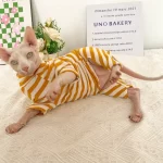 Striped Color T-shirt for Sphynx - Yellow Four-legged
