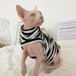 Striped Color T-shirt for Sphynx - Black One arm