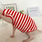 Striped Color T-shirt for Sphynx - Red One arm