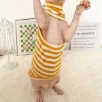 Striped Color T-shirt for Sphynx - Yellow One arm