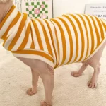 Striped Color T-shirt for Sphynx - Yellow One arm