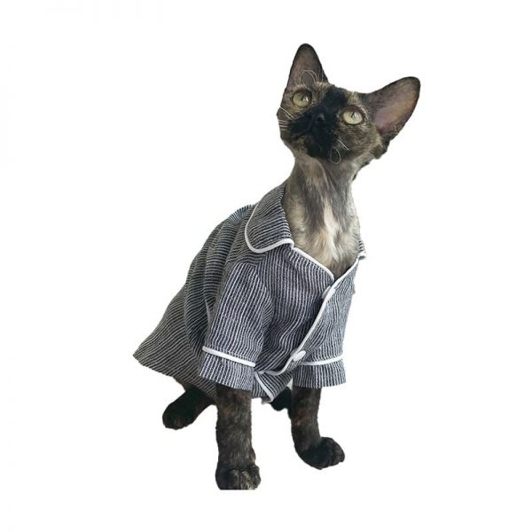 Kitty Pajamas for Cats-Sphynx wears striped pajama
