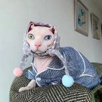 Kitty-Pyjama für Katzen-Sphynx trägt gestreiften Pyjama