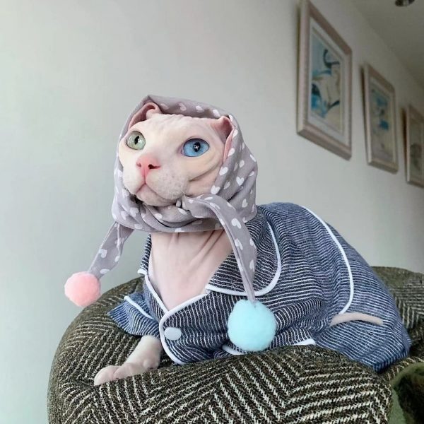 Kitty Pajamas for Cats-Sphynx wears striped pajama