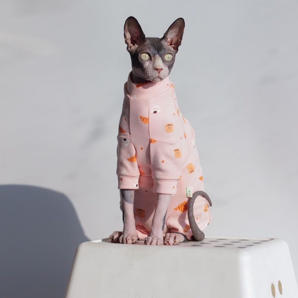 Surgical Shirt for Cats Surgery Recovery Shirt for Cats, Pink