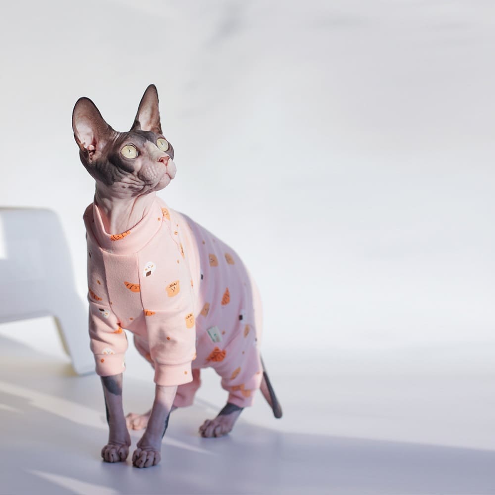  MAXX Cat Post Surgery Suit – Breathable Cat Onesie