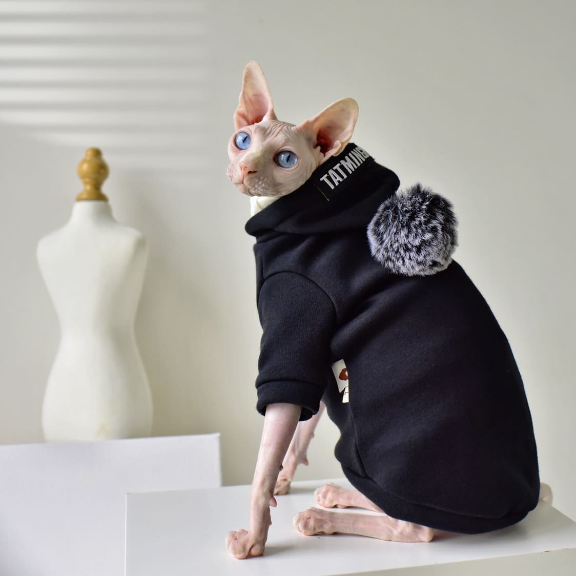 Sweatshirts für Katzen-Haarlose Katze mit schwarzem Kapuzenpulli
