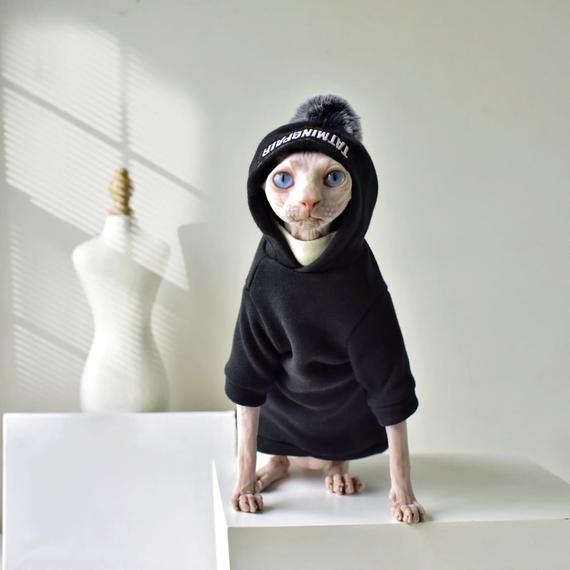 Sweatshirts for Cats-Hairless cat with black hoodie