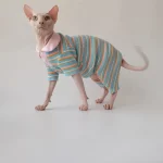 T shirts for Cats after Surgery-Pink Doll Collar