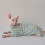 T shirts for Cats after Surgery-Pink Doll Collar