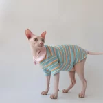 T shirts for Cats after Surgery-Pink Doll Collar