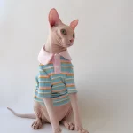 T shirts for Cats after Surgery-Pink Doll Collar