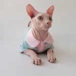 T shirts for Cats after Surgery-Pink Doll Collar