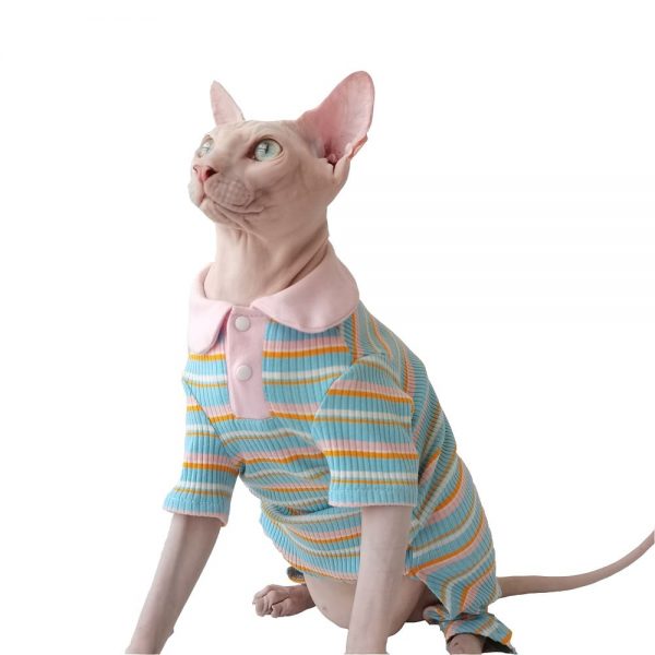 手術後の猫にピンクのストライプTシャツをプレゼント