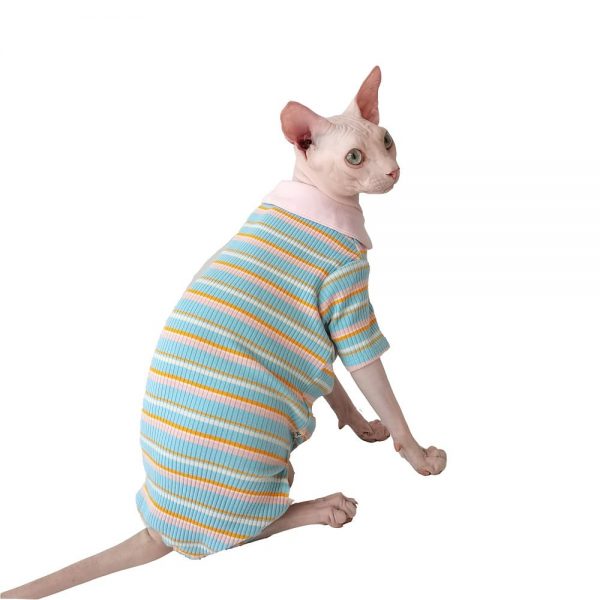 手術後の猫にピンクのストライプTシャツをプレゼント