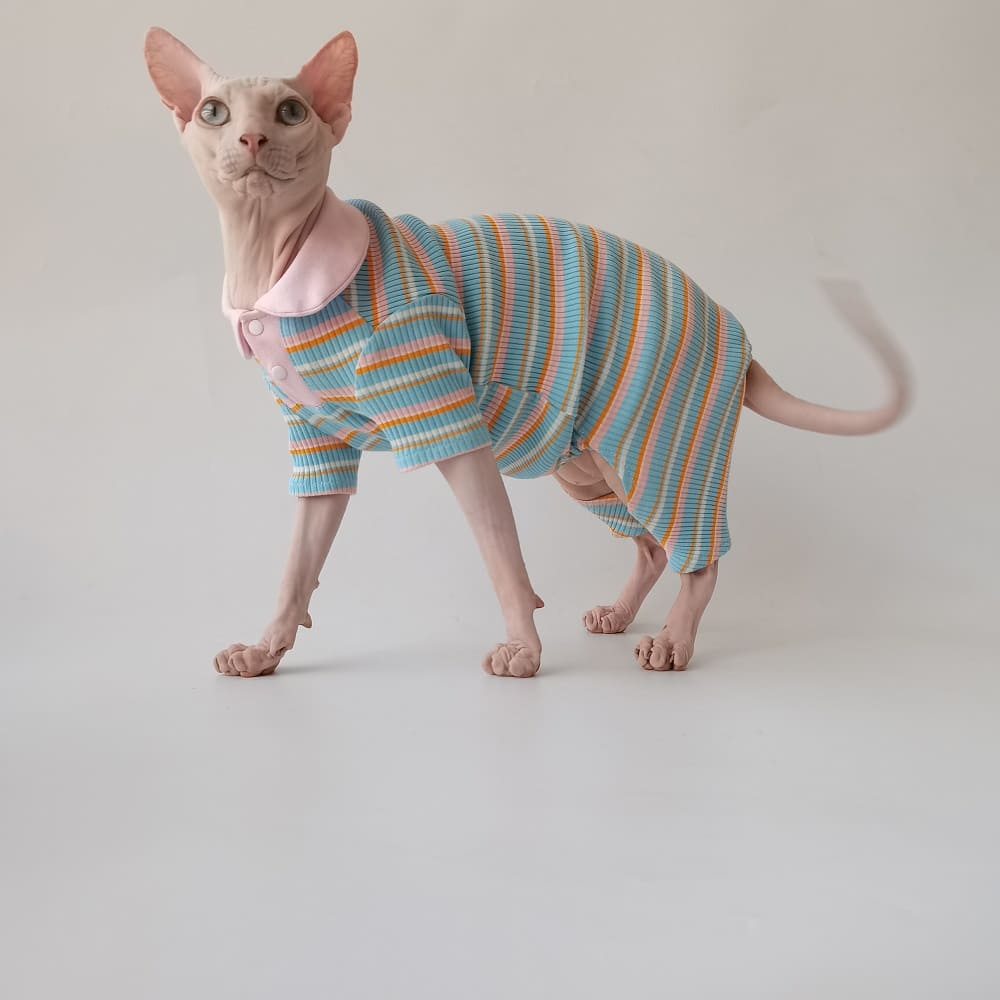 Pink striped-T shirts for Cats after Surgery