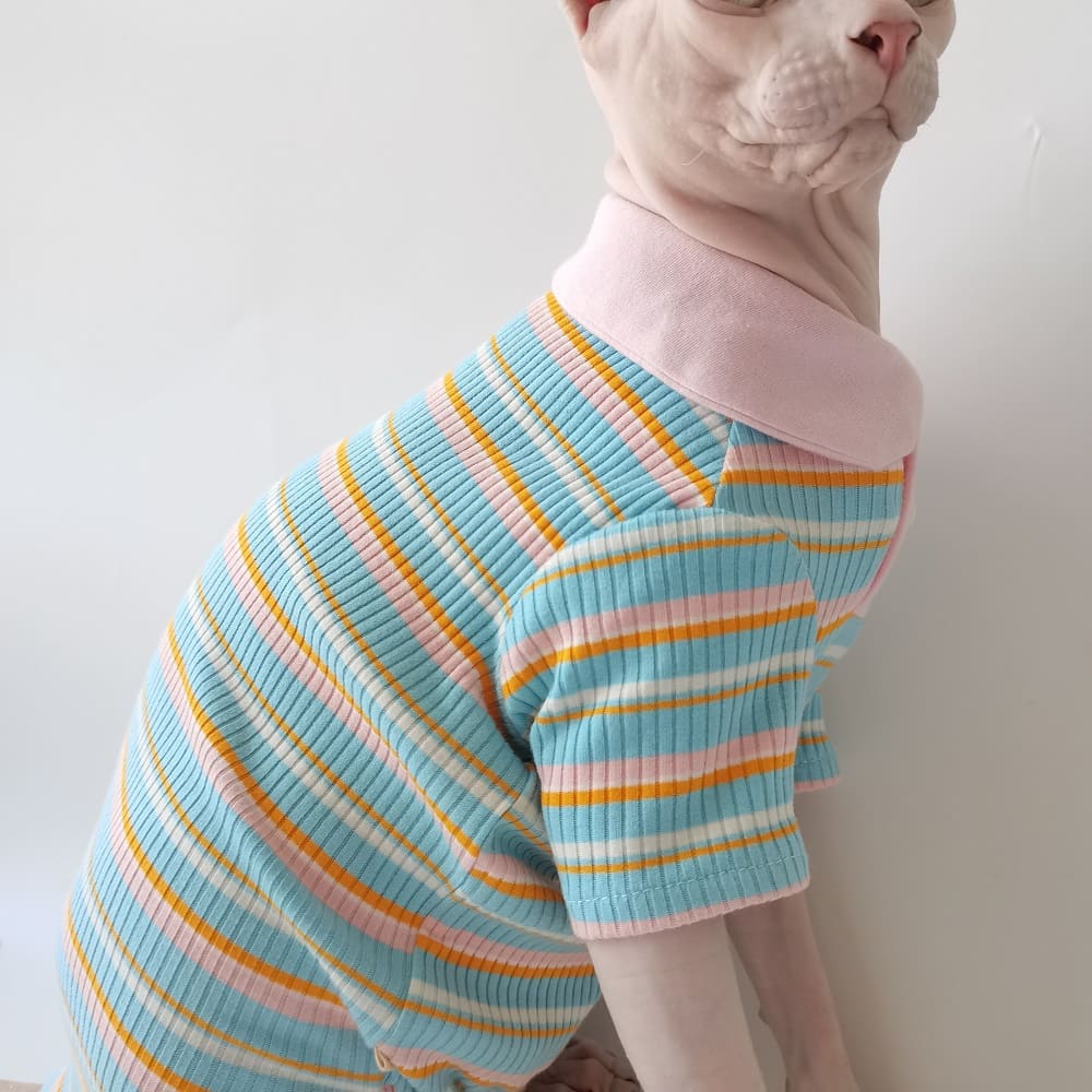 clothes for cats after surgery