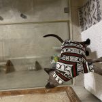 Sphynx Cat Shirt-Gucci Cat T-shirt photo review