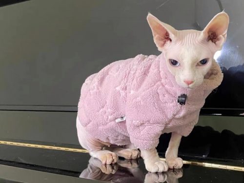 Sphynx Clothing-LV Sweatshirt for Cats photo review