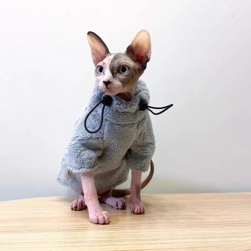 Sphynx Clothing-LV Sweatshirt for Cats photo review