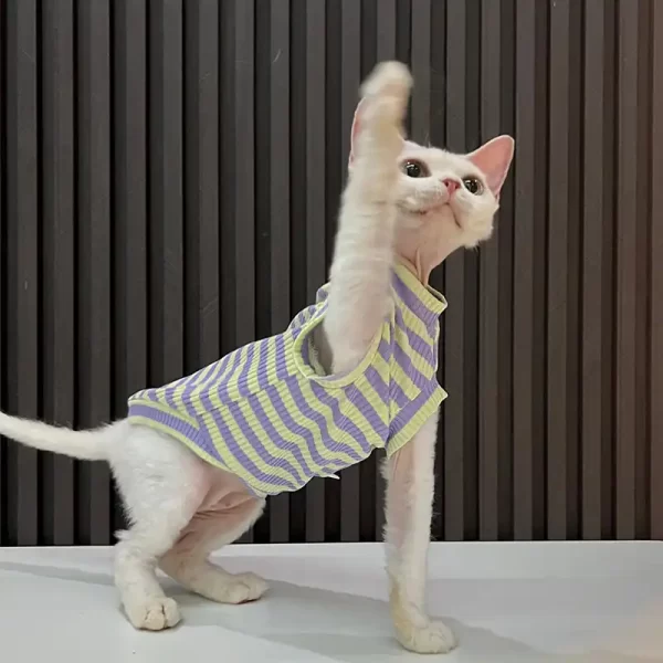 Bright Color Summer Shirts for Cats