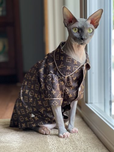 Clothing for Sphynx Cats | LV Pajamas for Cats, Two Styles Pajamas