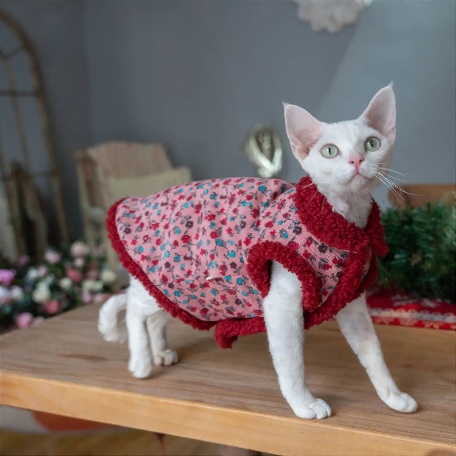 Cat Clothes for Sphynx-Lamb Wool