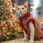 Cat Clothes for Sphynx-Lamb Wool