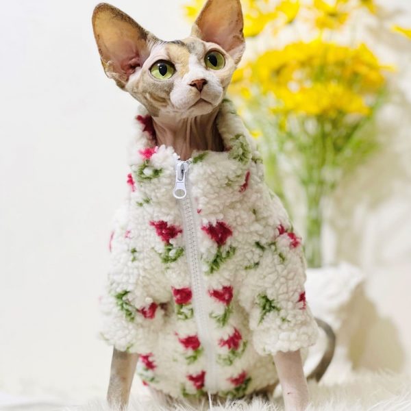 Cat Clothes for Sphynx-Sphynx wears coat