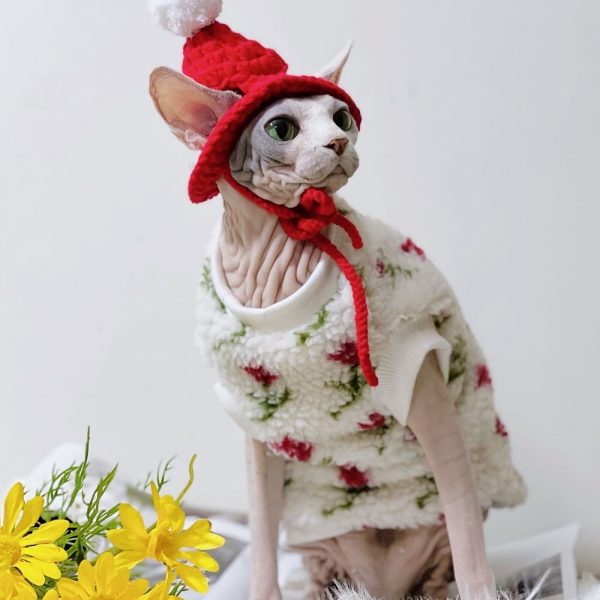 Cat Clothes for Sphynx-Sphynx wear hoodie and hat
