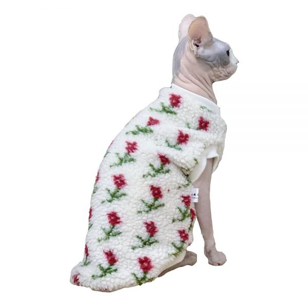 Cat Clothes for Sphynx-Sphynx wears hoodie