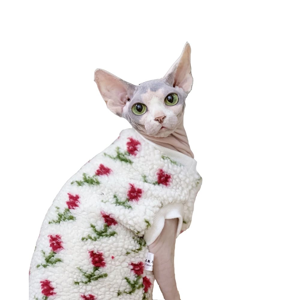 cat and human matching outfits