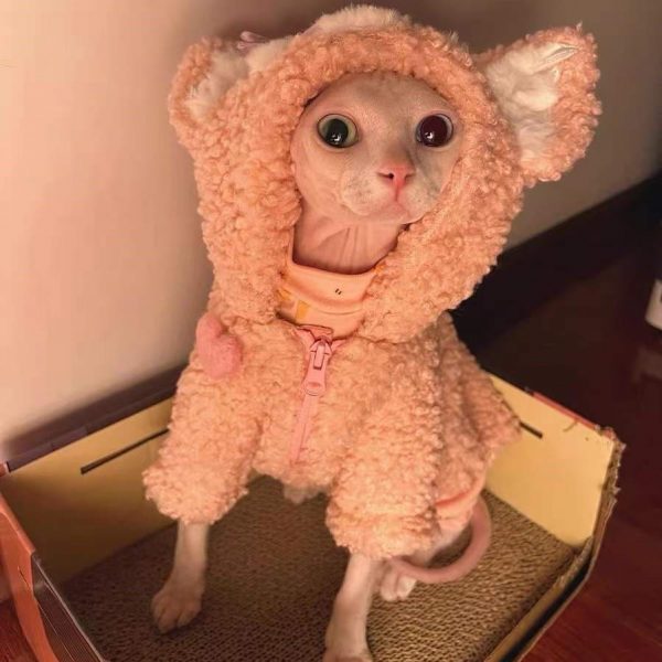 Cat Coats for Winter Sphynx LinaBell Coat, Sphynx Cat Winter Clothing