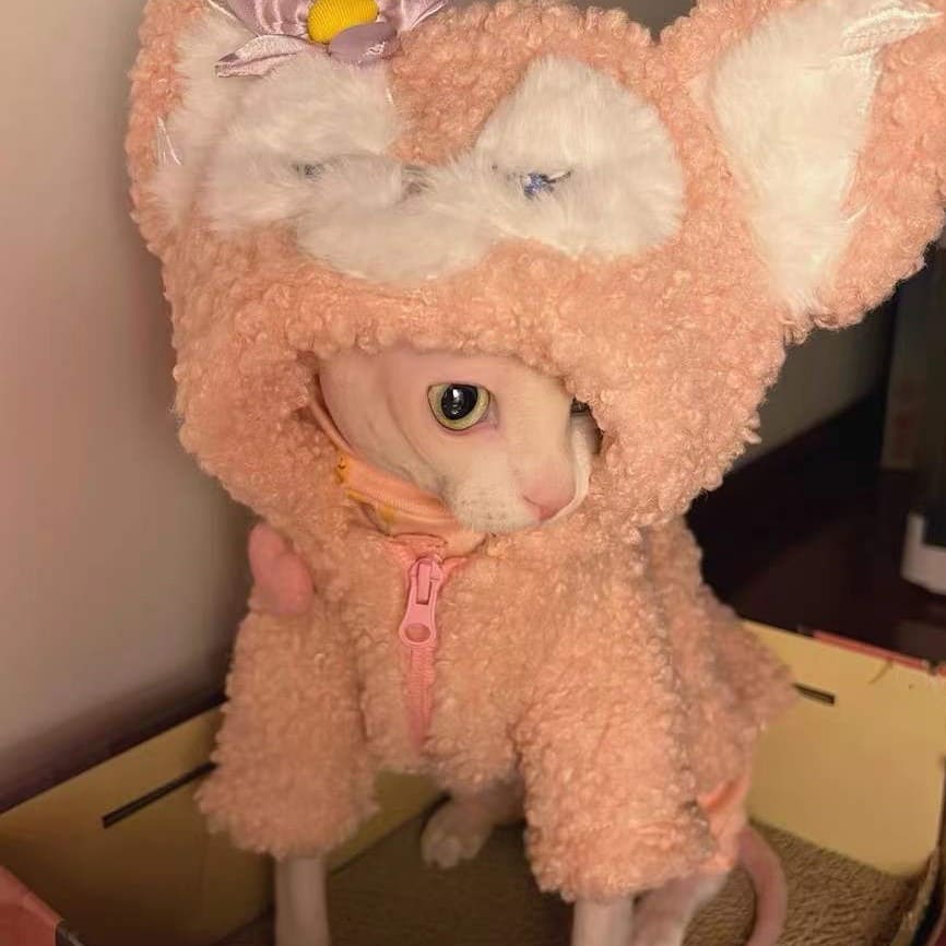 Cat Coats for Winter-Sphynx wear it