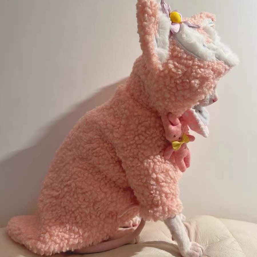 Cat Coats for Winter-Sphynx wear it
