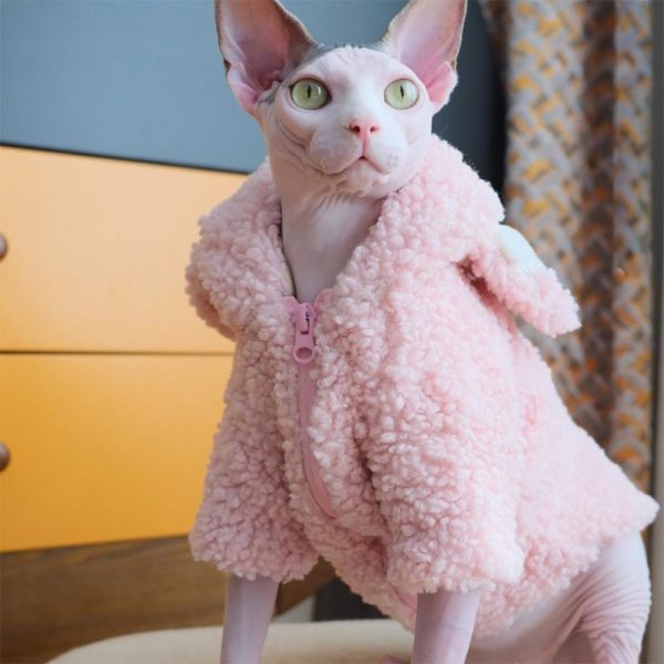 Cat Coats for Winter-Sphynx wear it