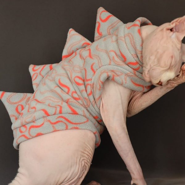 Cat Costume for Cat | Hairless Cat in clothes, Dinosaur Costume for Cats