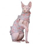 Костюм кошки для кота-сфинкса надевает костюм