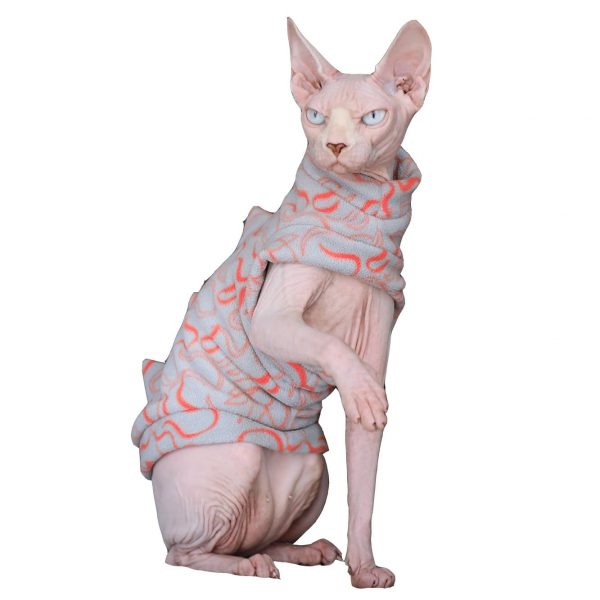 Costume da gatto per gatto-Sphynx indossa il costume