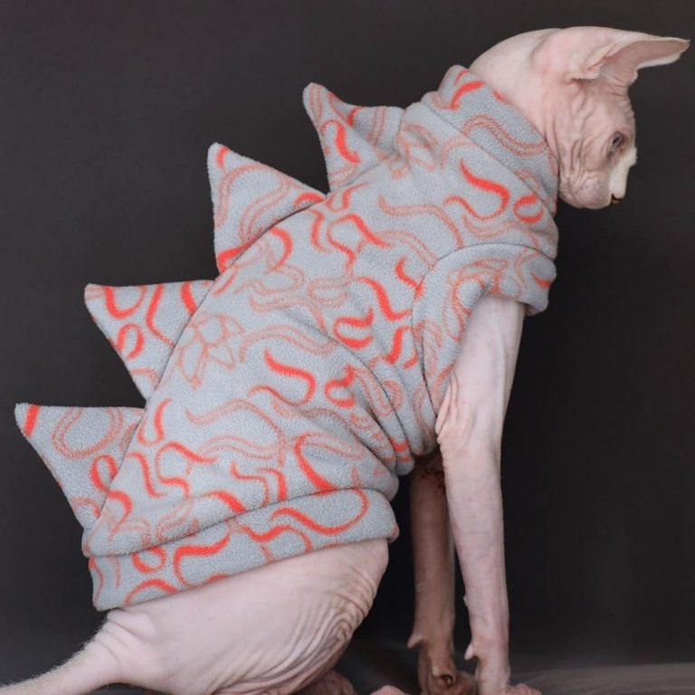 Cat Costume for Cat Hairless Cat in clothes, Dinosaur Costume for Cats