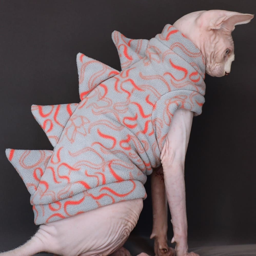 Cat Costume for Cat-Sphynx wears costume
