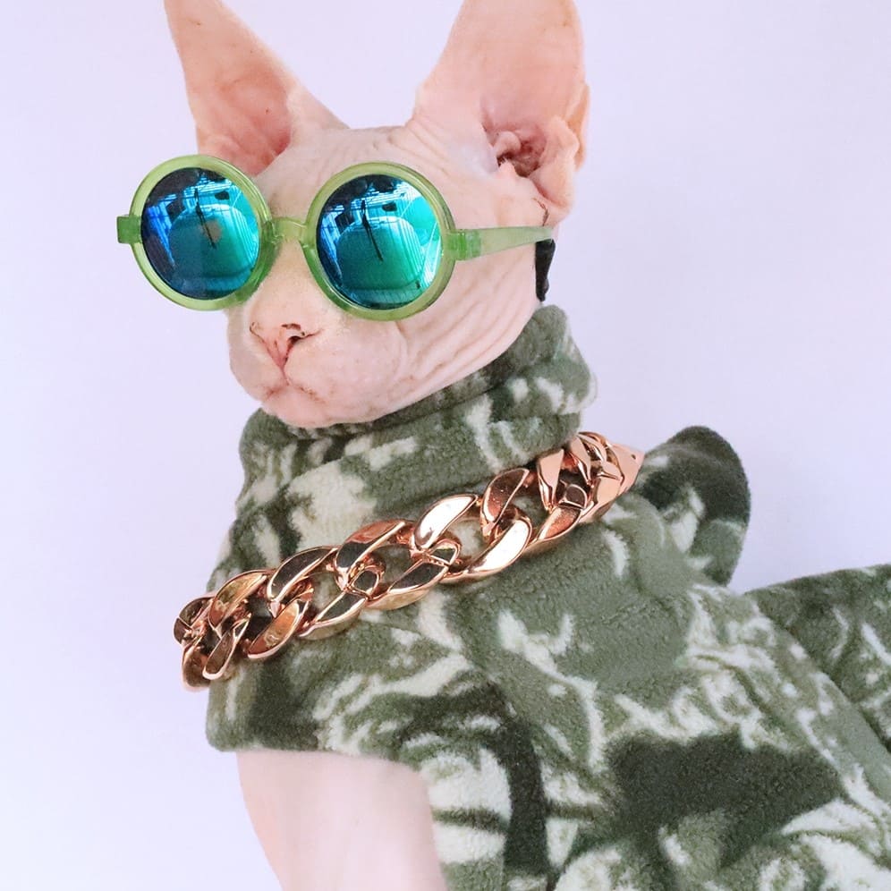 Cat Costume for Cats-Sphynx wears green dinosaur costume and glasses